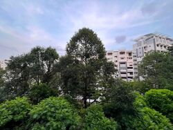 Blk 656 Woodlands Ring Road (Woodlands), HDB Executive #623807301